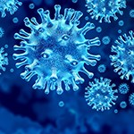 Symbolfoto - Großaufnahme eines Coronavirus, hellblau auf dunkelblauem Grund. Foto istock _ wildprixel